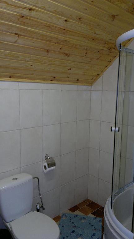 Panska Hata Hotell Nyzhnya Khortytsya Rum bild