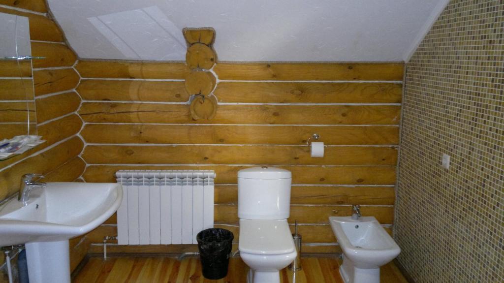 Panska Hata Hotell Nyzhnya Khortytsya Rum bild